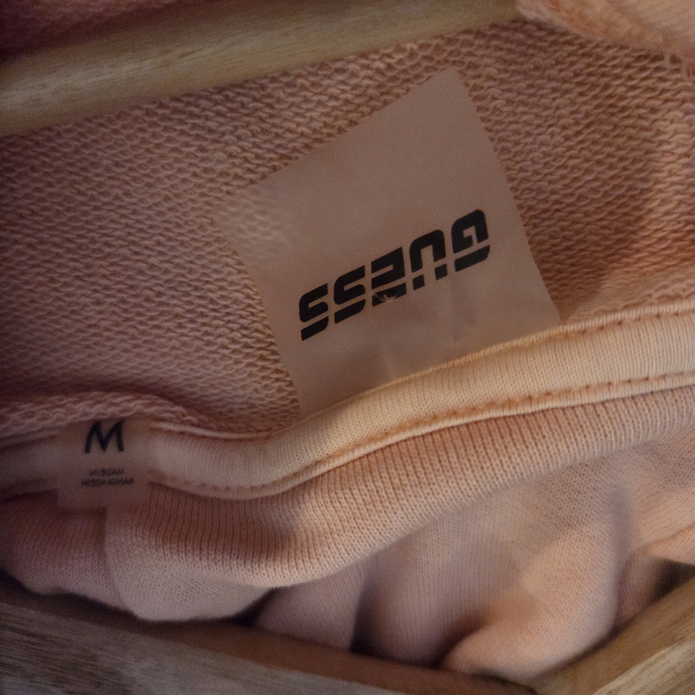 Guess Peach Hoodie with Embroidered Logo - Picture 5 of 15